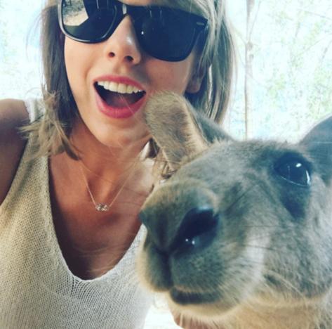 Taylor Swift Adds Kangaroo, Blake Lively to Her Squad